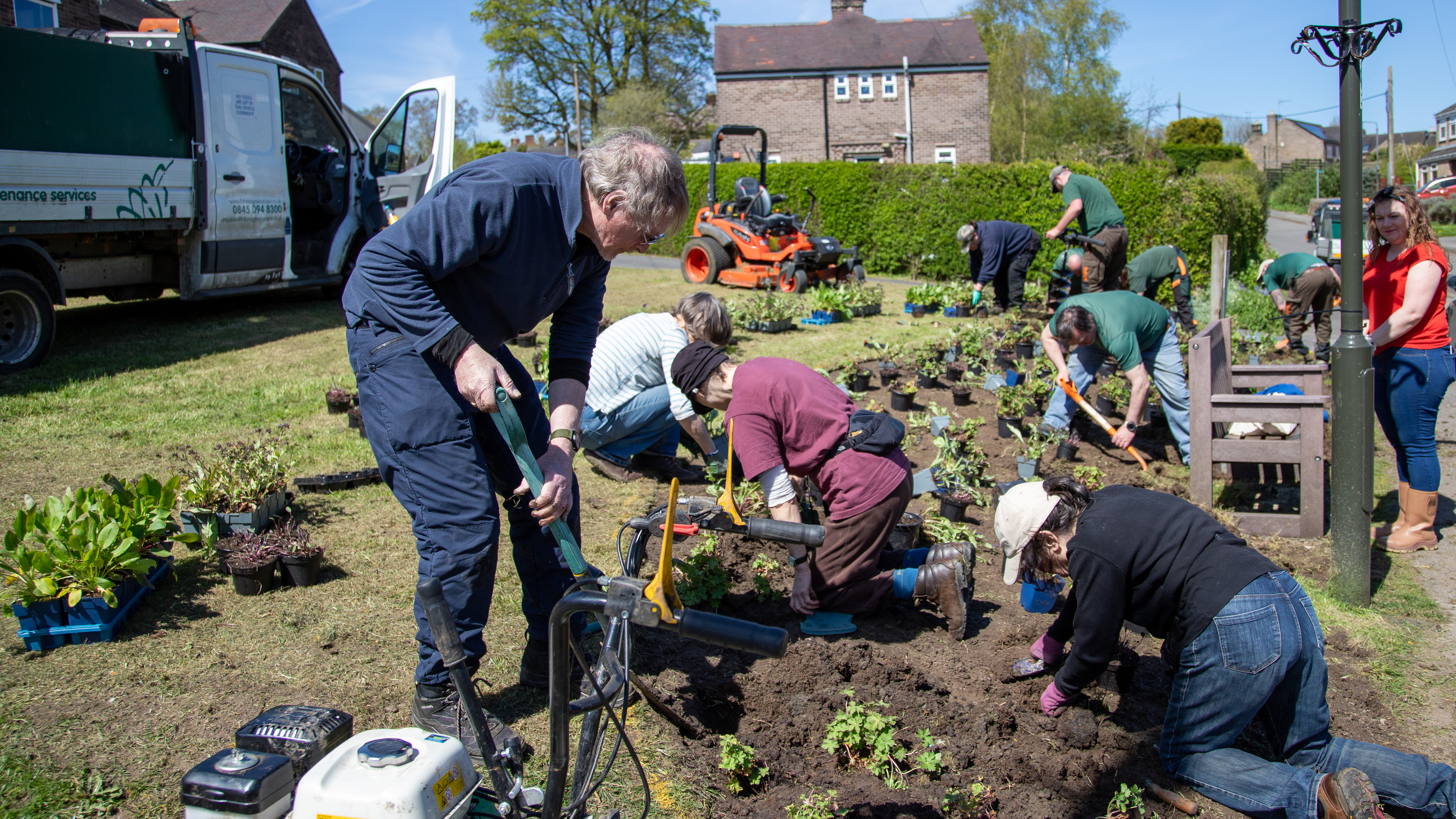 Planting flowers with Transition Crich