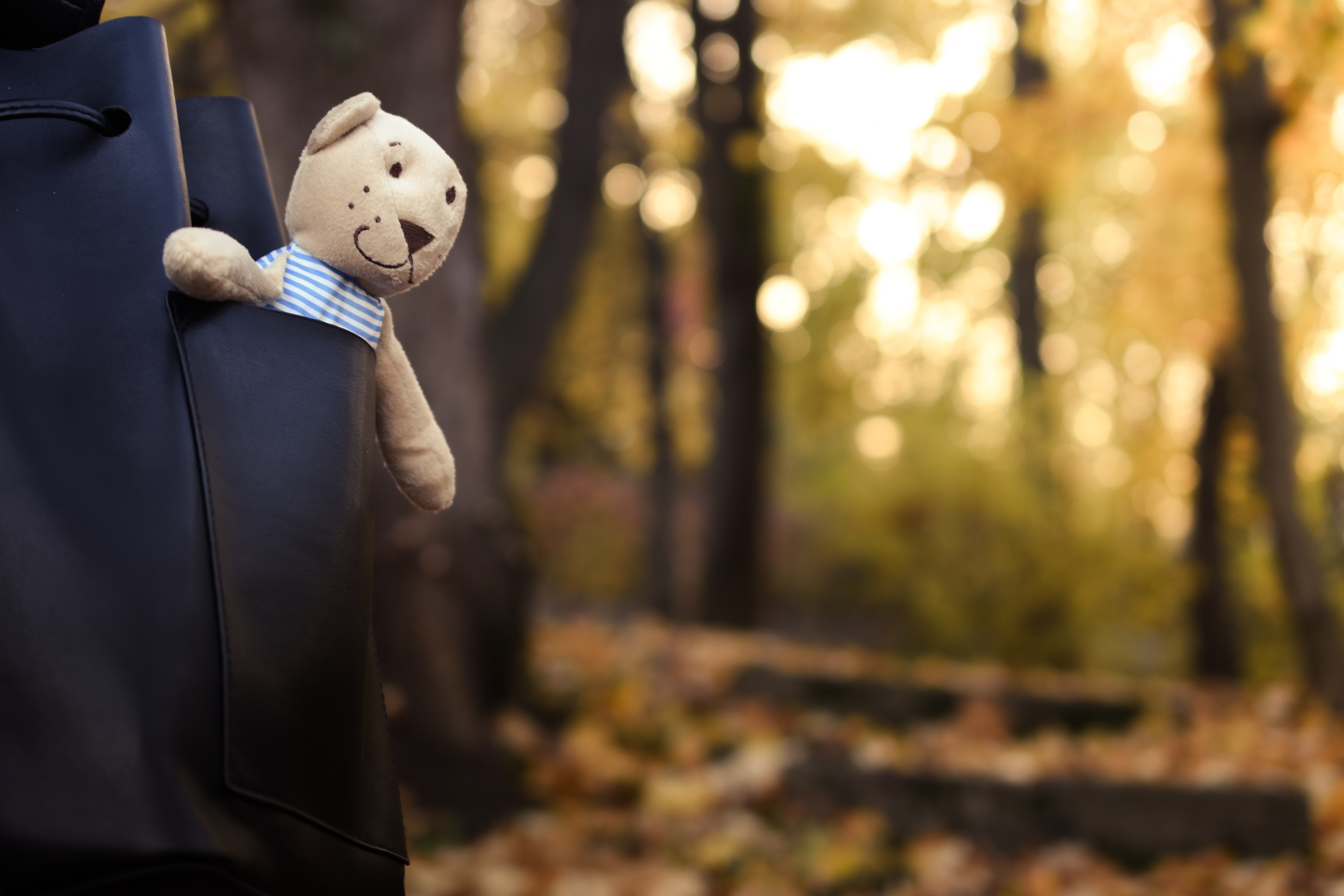 Happy teddy bear poking out of a backpack with trees in the background