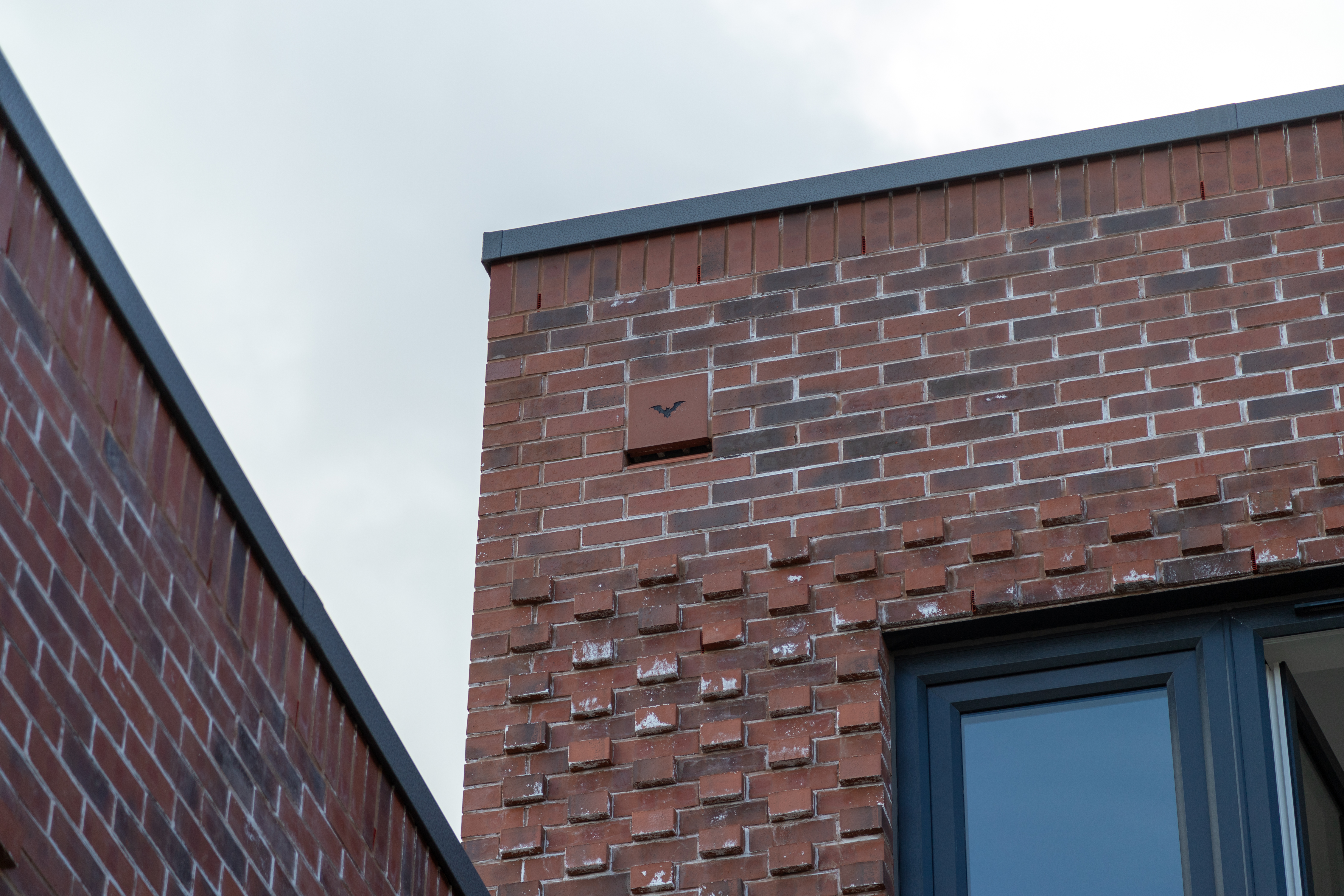 Bat box on roof of apartment block