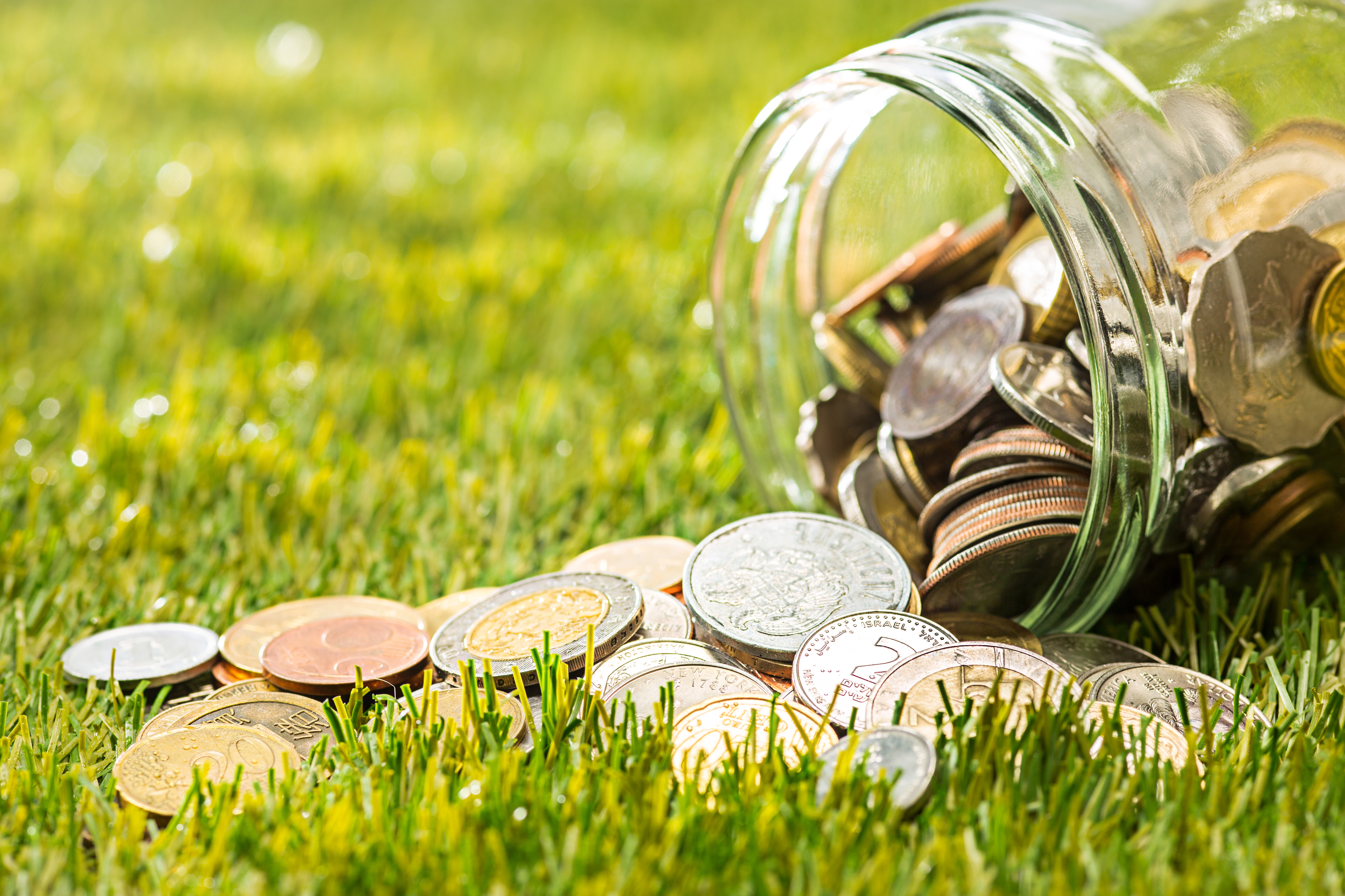 Coins Glass Jar Money Green Grass