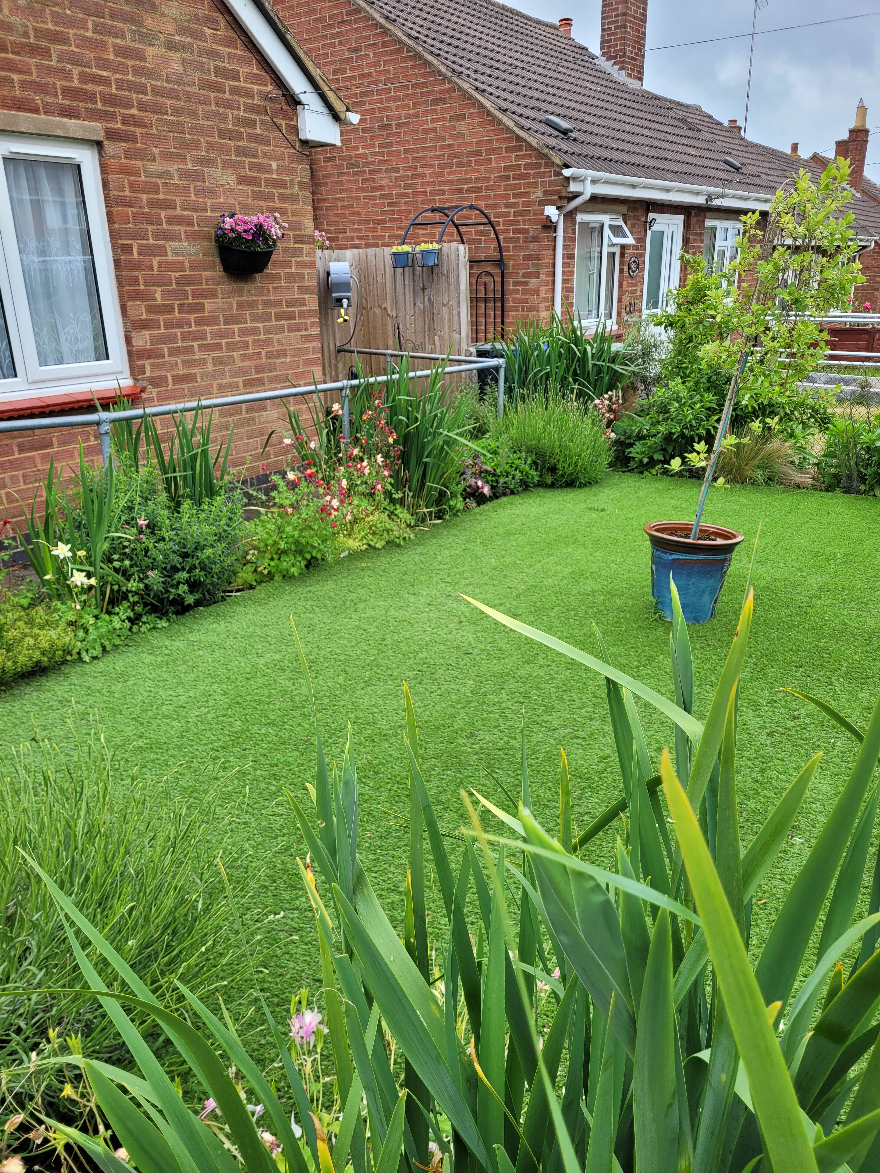 Photo of a customer's garden