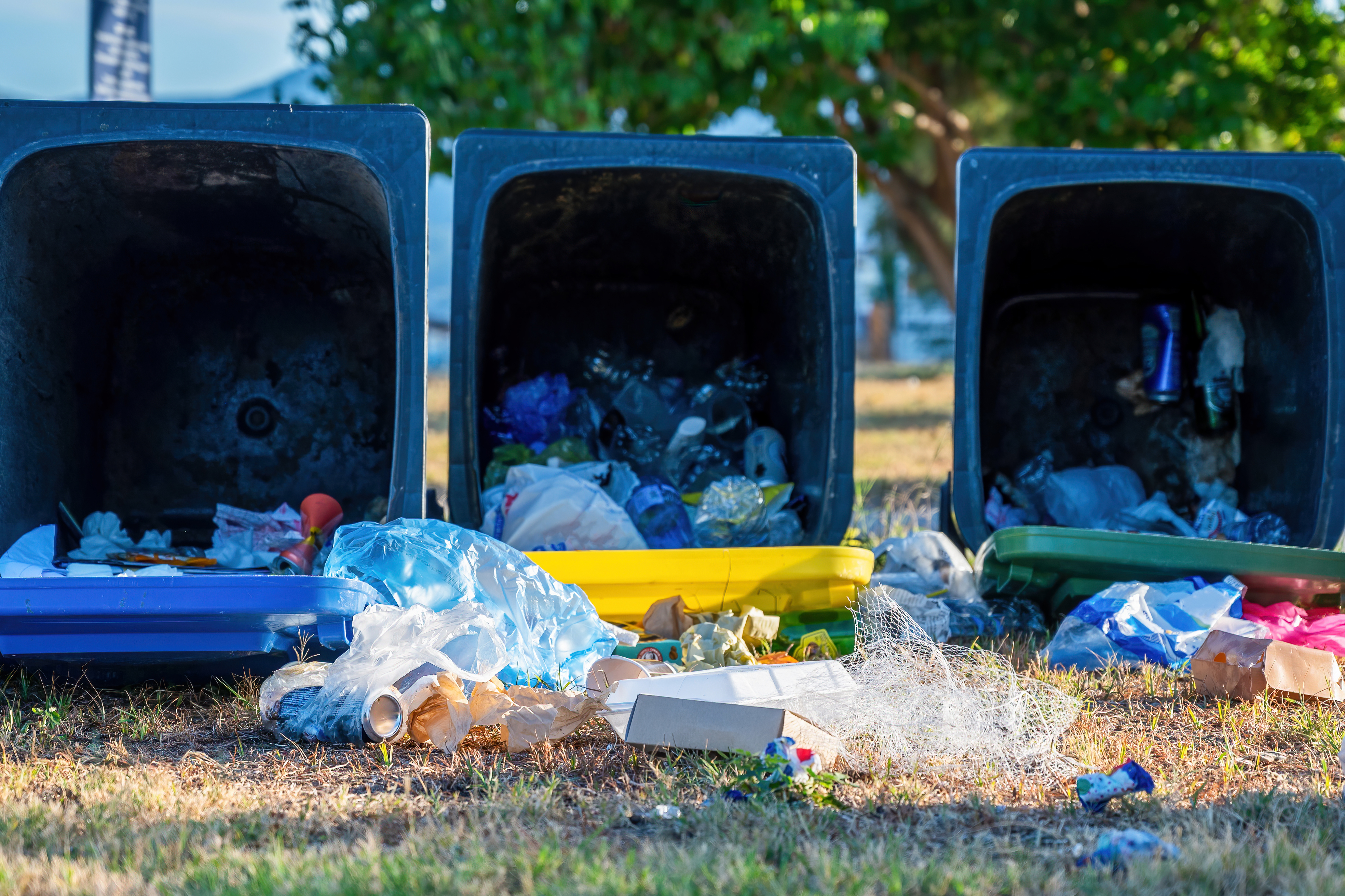 Dropped Dumpsters With Fallen Out Trash Ground