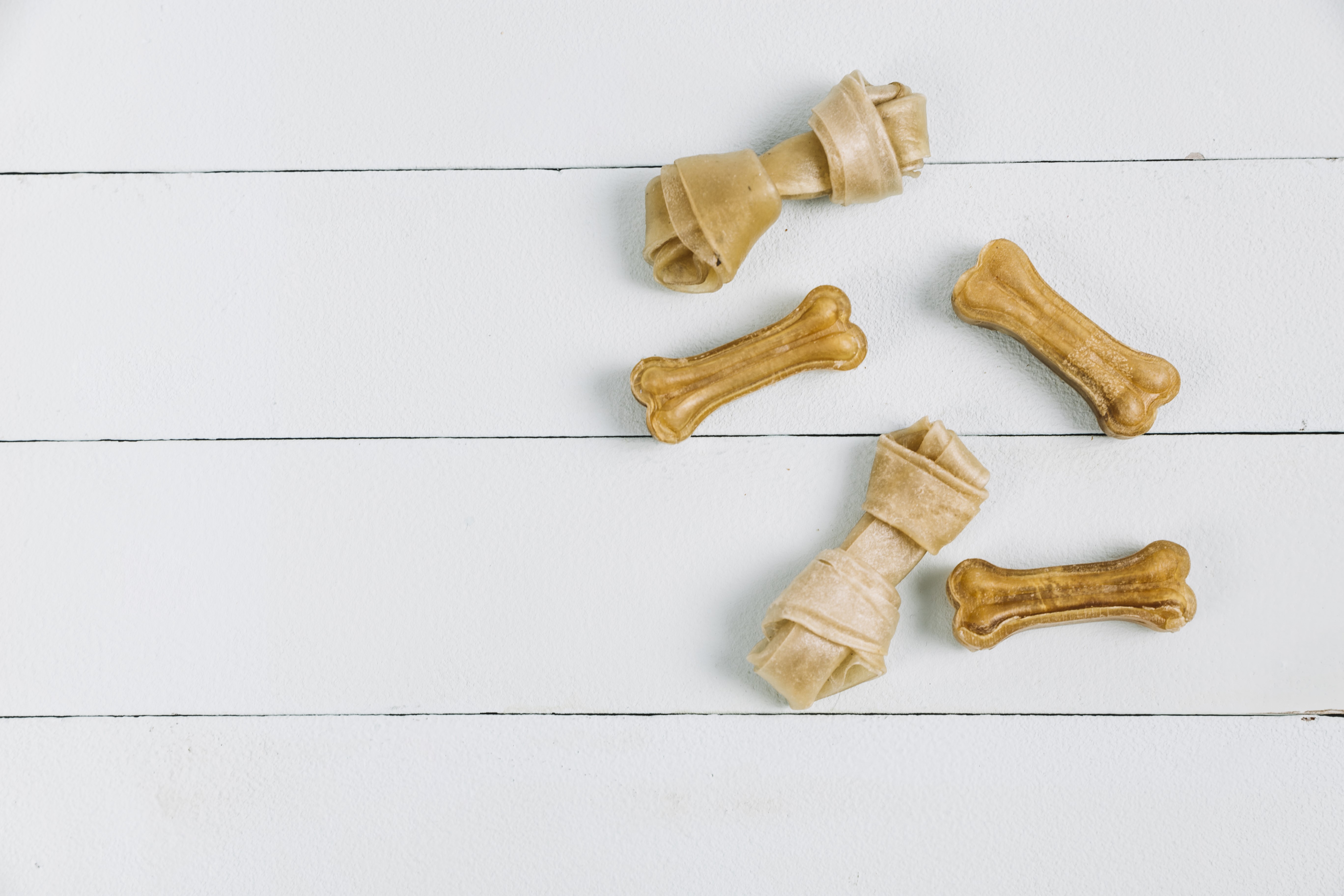 Five chewing dog bones on a white wooden background